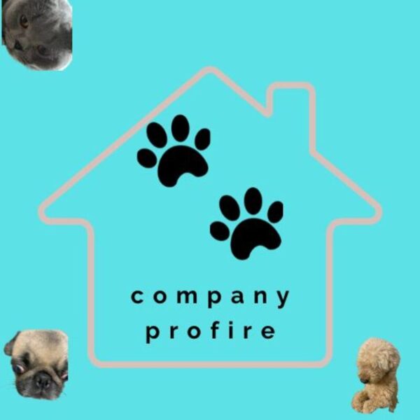 ワンニャン犬猫カンパニーの会社概要