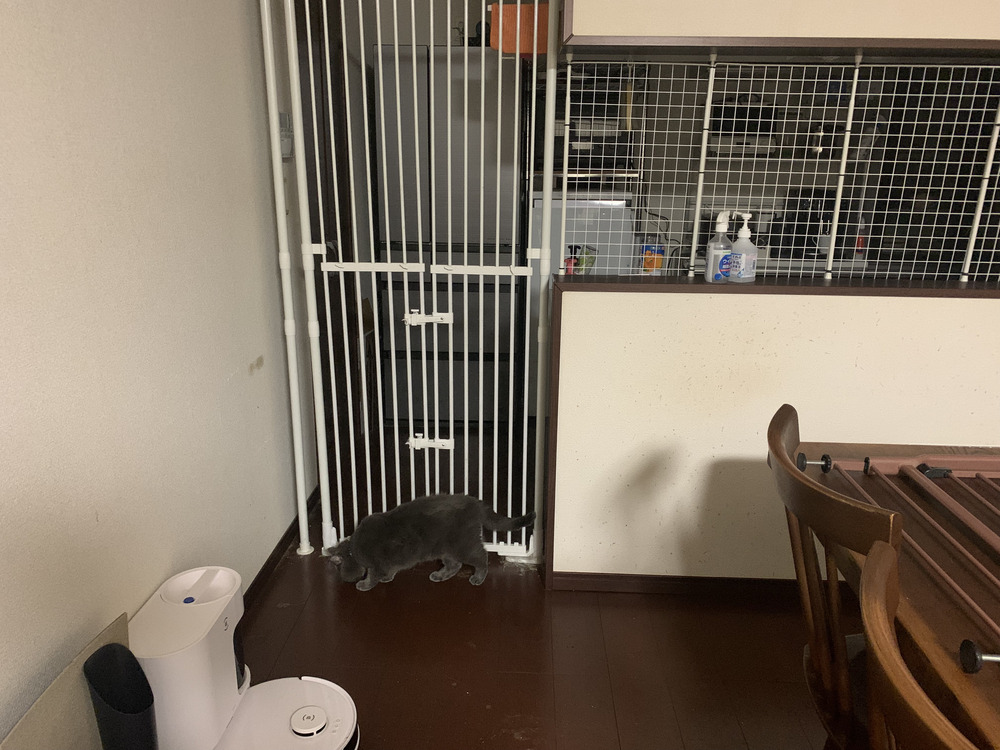 猫の侵入を防ぐペットゲート!「のぼれんニャン 」を徹底レビュー