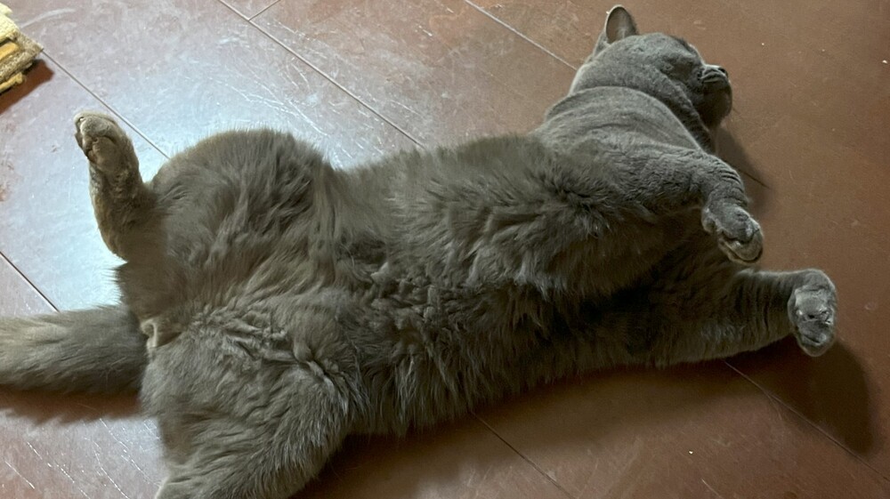 仰向けで寝ている永遠　